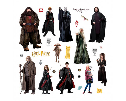DKS 3825 Harry Potter falmatrica